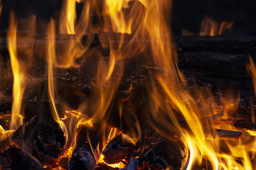 Fire, flames on a black background.