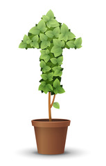 vector large green tree grows from a flowerpot. concept of spring and summer, harvest and ascent. figured haircut