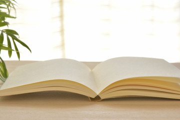 開いた本　イメージ


