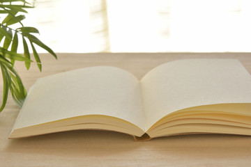 開いた本　イメージ


