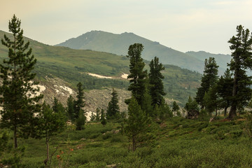 Sayan Mountains Natural Park Ergaki. Krasnoyarskiy krai, Russia