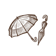Autumn rain, rain protection, types of umbrellas in different positions.