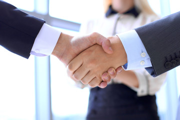 Business people shaking hands as a sign of agreement. Success concept