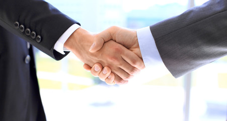 Business people shaking hands as a sign of agreement. Success concept