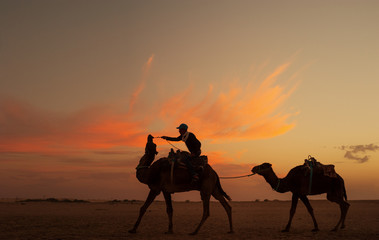 Tourism in Africa, Tounise