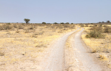 Sandy road in Botswana