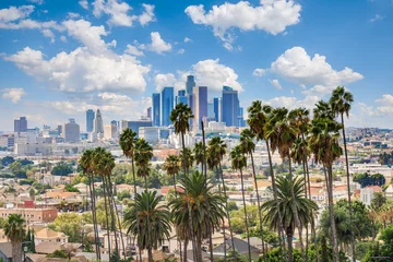 Foto auf Acrylglas Los Angeles Schöner bewölkter Tag der Skyline der Innenstadt von Los Angeles und Palmen im Vordergrund
