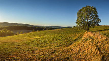 Evening Meadow at Lower Silesia/Poland