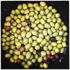 Olive