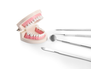 Dentist's tools and jaw model on white background