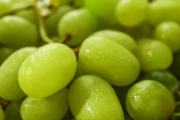Fresh ripe juicy grapes, closeup