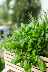 Wooden crate with fresh aromatic herbs outdoors