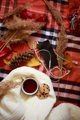 Autumn Fletley. A cup of hot tea, an open book, a yellow leaf, a smartphone with headphones on a checkered orange rug. Vertical orientation