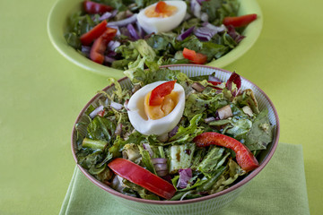 Salat aus Endivien, Frisee, Radicchio und rotem Paprika