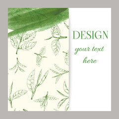 vector green tea leaves and branches, hand-drawn - 228260271
