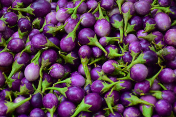 Fresh eggplants at the Market