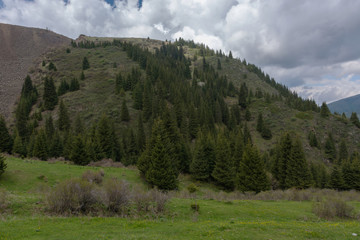 Beautiful landscape of the green mountain hills blue cloudy sky of Kyrgyzstan. 