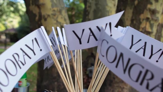 Close up on miniture Hooray and yay signs on sticks.mov