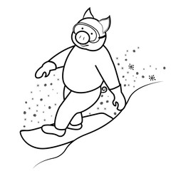 Snowboarder pig symbol 2019