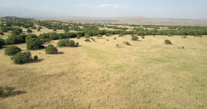 Flying over land mines and Oak forest in Golan Heights
Golan heights, land mines and Oak forest, Drone shot,Israel
