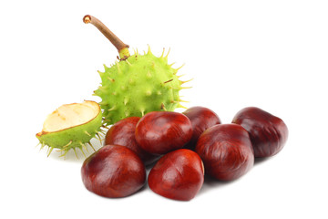 chestnuts isolated on white background. Healthy background.