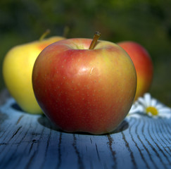 Red yellow apples on an old wooden table in the garden