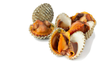 fresh cockles seafood isolate on white background

