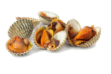 fresh cockles seafood isolate on white background
