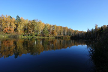 Fototapeta na wymiar autumn forest reflected in the lake
