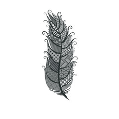 pluma