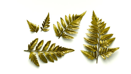 golden fern leaves isolated on white background.