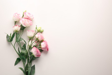 Naklejka na ściany i meble Beautiful flowers on white background