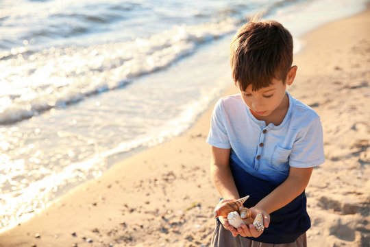 Cute little boy with sea shells on beach