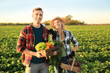 Farmers with gathered vegetables in field