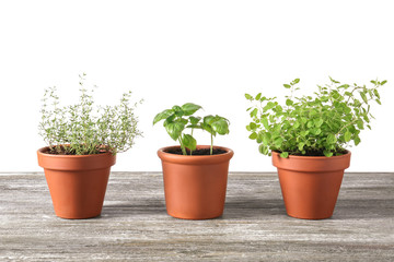 Pots with fresh aromatic herbs on wooden table against white background