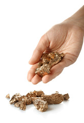 Female hand with gold nuggets on white background
