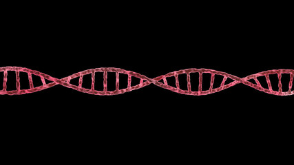 Single DNA molecule spiral isolated on black
