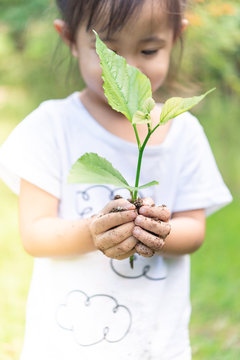 Asian girl  hands holding small plant prepare for plantation.
