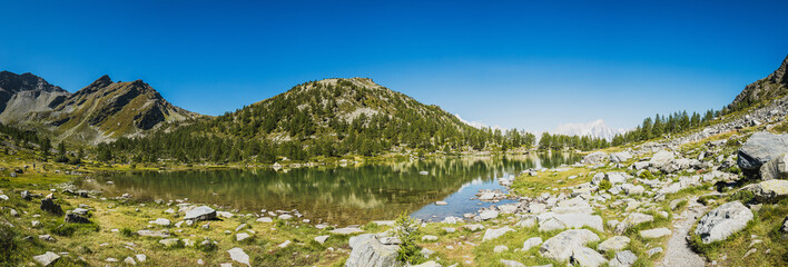 Lalgo alpino in Valle d'Aosta con panorama di montagna e Monte Bianco