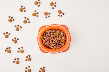 elevated view of paws made of dog food and plastic bowl with pet food on white surface