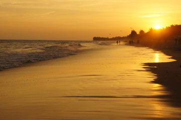 Naklejka premium sunset on the beach