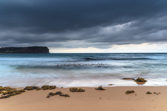Moody Seascape with Seaweed