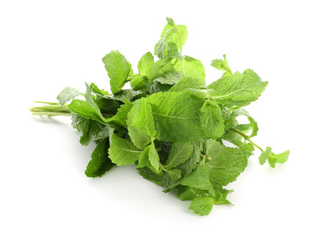 Fresh aromatic mint on white background