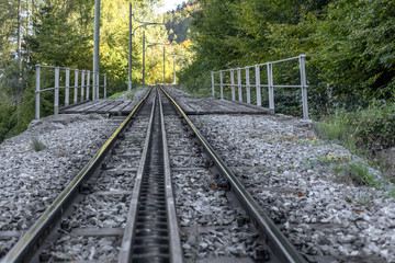 Obraz premium Zahnradgleise zur Schynige Platte Wilderswil
