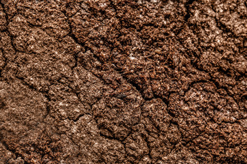 Soil texture, closeup