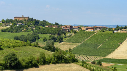 Fototapeta na wymiar Road to Govone and San Martino Alfieri, Asti, in Monferrato