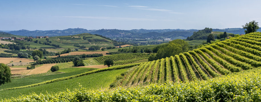 Road to Govone and San Martino Alfieri, Asti, in Monferrato