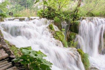 Fototapeta premium wodospad w lesie