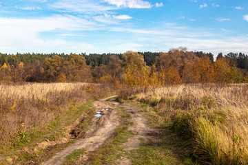 Off-road. Track in the autumn field.