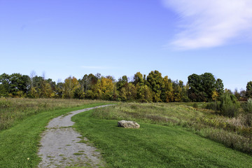 Fototapeta premium Autumn foliage along the hiking trails. Rochester, New York